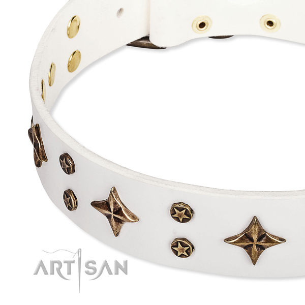 Easy to use leather dog collar with resistant durable buckle