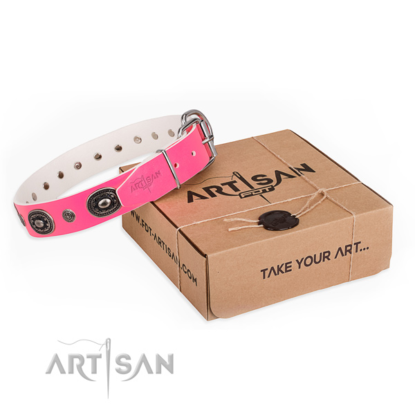 Top notch full grain leather dog collar for walking in style