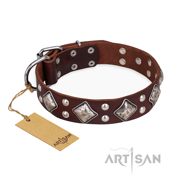 Inimitable design studs on full grain natural leather dog collar