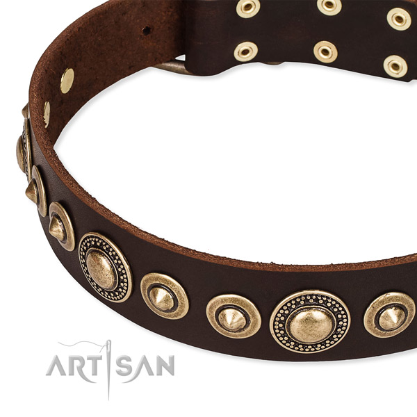 Easy to use leather dog collar with resistant durable hardware