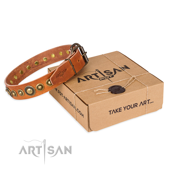 Fine quality full grain genuine leather dog collar for stylish walks