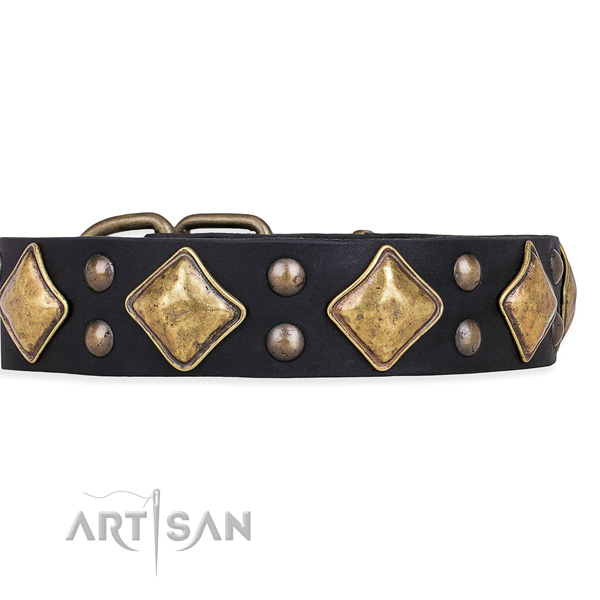 Easy to use leather dog collar with resistant to tear and wear brass plated set of hardware