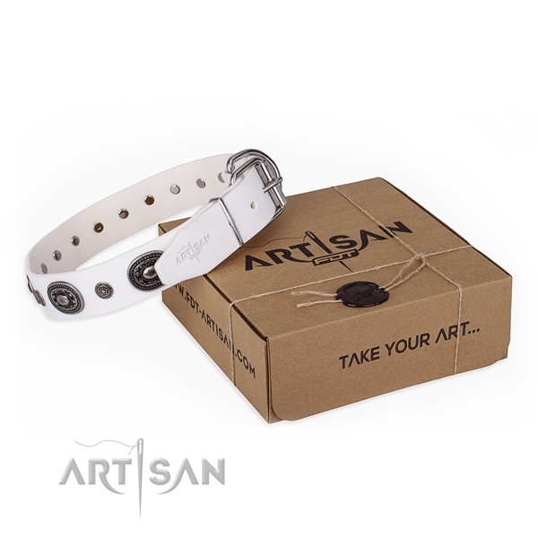 Fashionable full grain leather dog collar for stylish walks