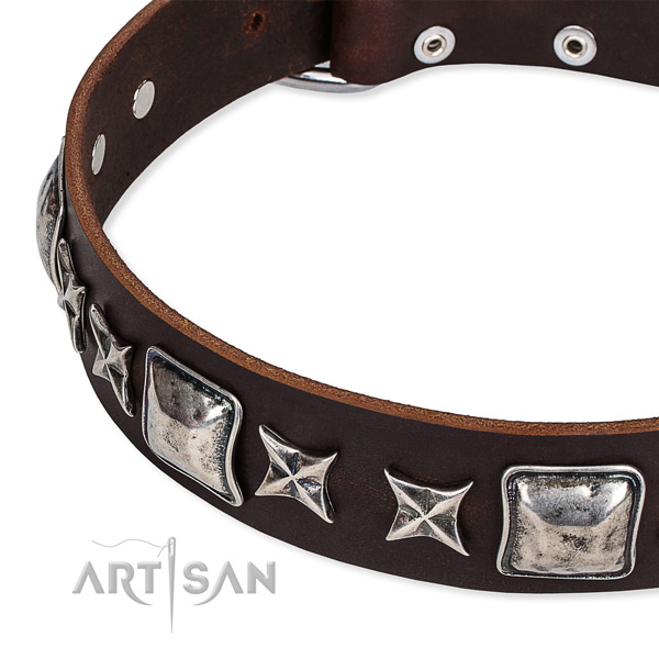 Easy to put on/off leather dog collar with extra strong non-rusting buckle