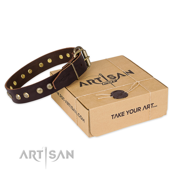 Designer natural genuine leather dog collar for stylish walking