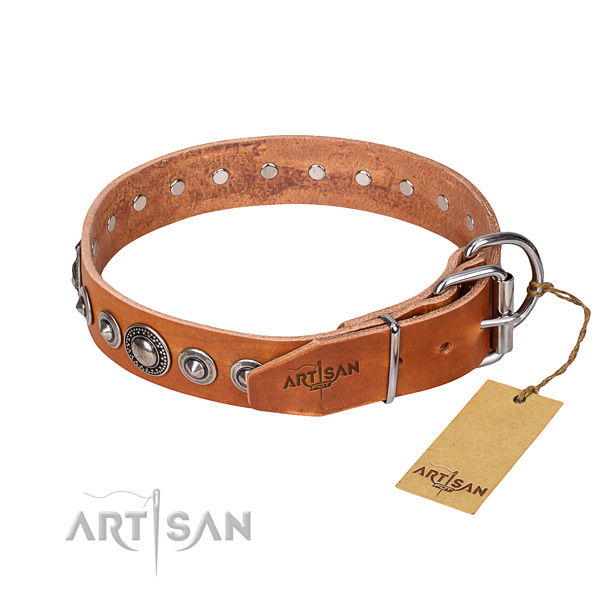 Fashionable leather collar for your stunning pet