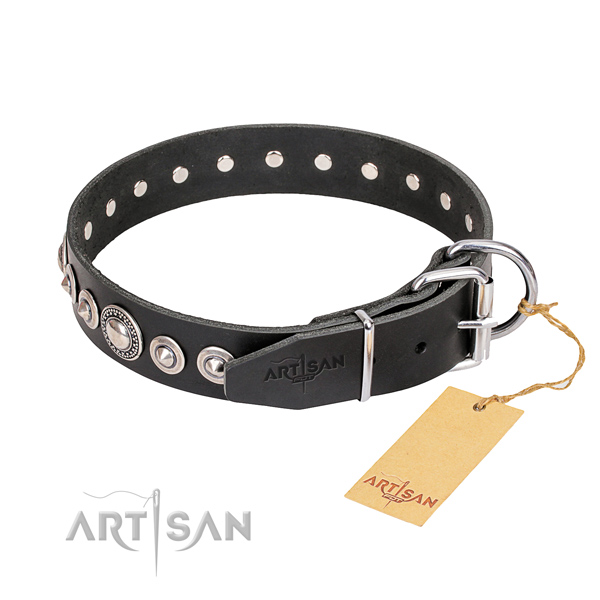 Durable leather collar for your elegant four-legged friend