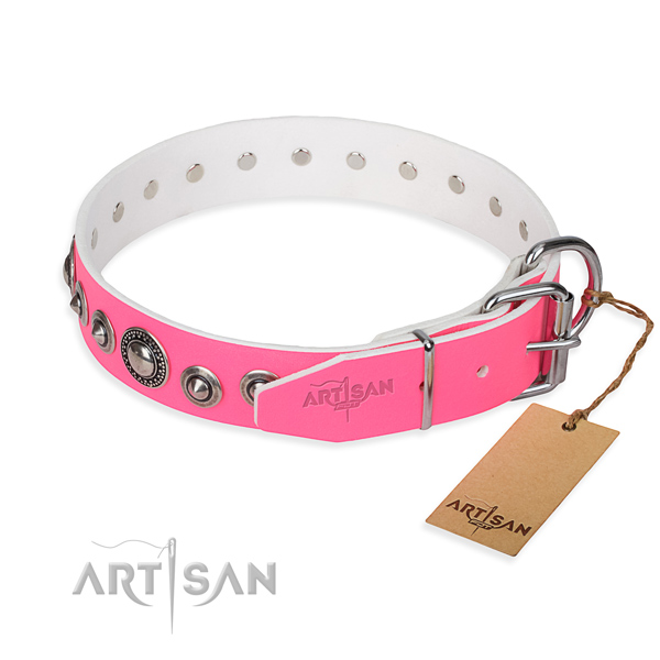 Versatile leather collar for your darling canine