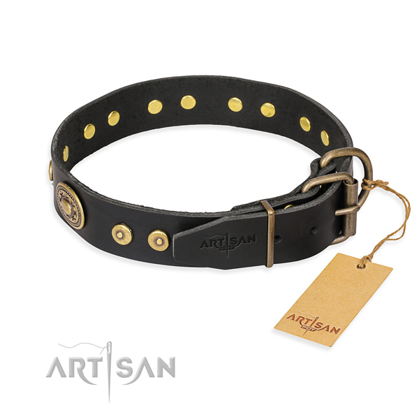 Awesome leather collar for your beloved four-legged friend