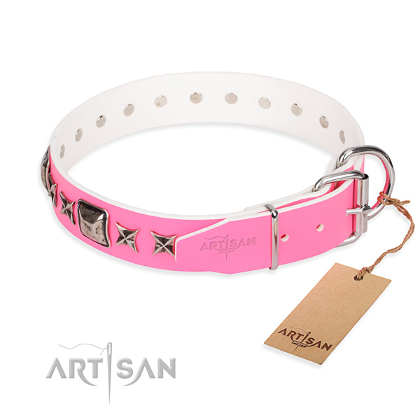 Everyday leather collar for your stunning dog