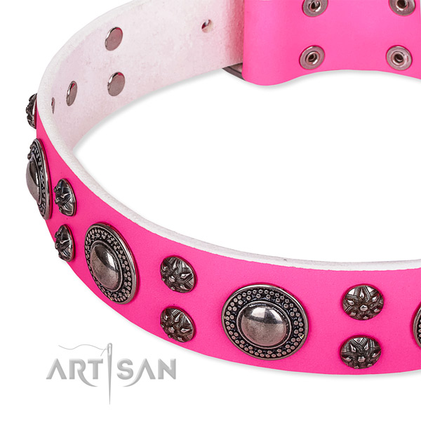 Adjustable leather dog collar with resistant to tear and wear non-rusting hardware