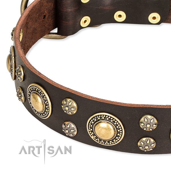 Snugly fitted leather dog collar with almost unbreakable durable hardware