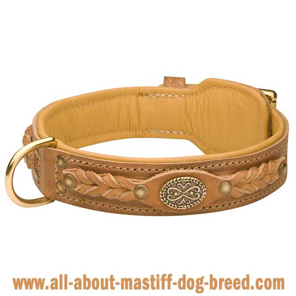 Braided dog collar made of genuine tan leather