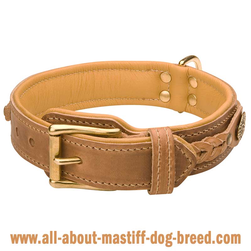 Tantalum  mastiff dog collar handmade