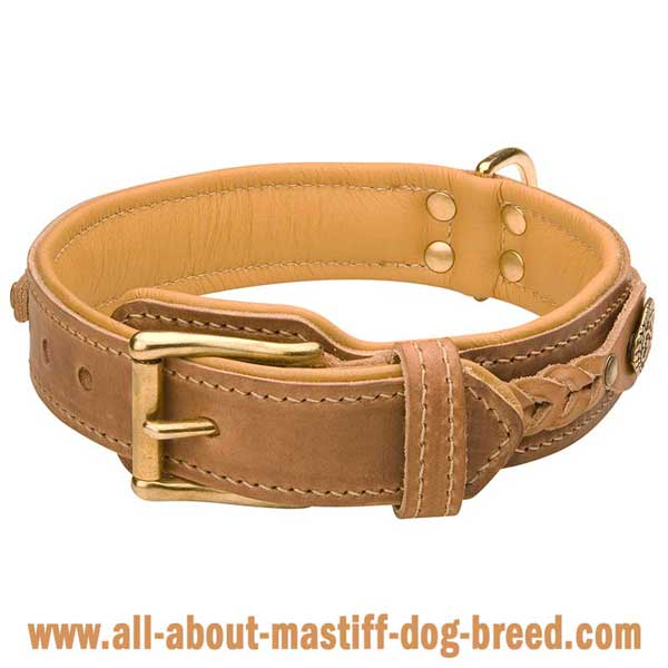 Tan leather dog collar with rustproof brass fittings