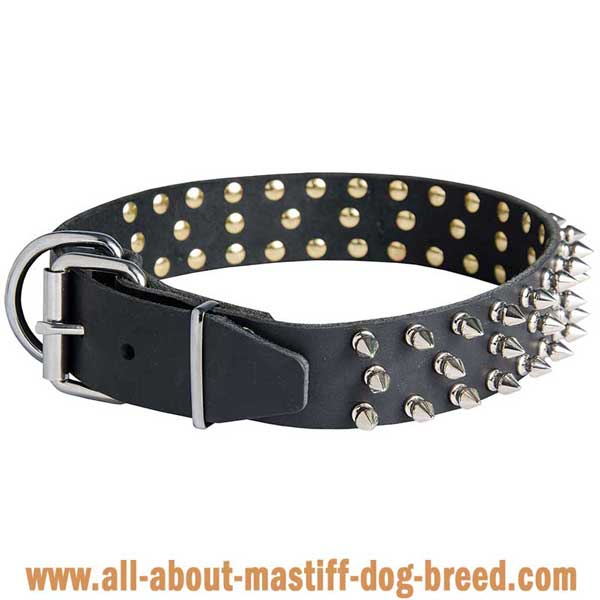 French Mastiff Dog Collar Equipped with Rustproof Nickel  Fittings