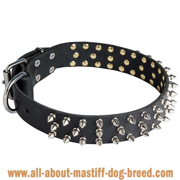 French Mastiff Dog Collar Made of Genuine Leather  Decorated with Nickel Spikes
