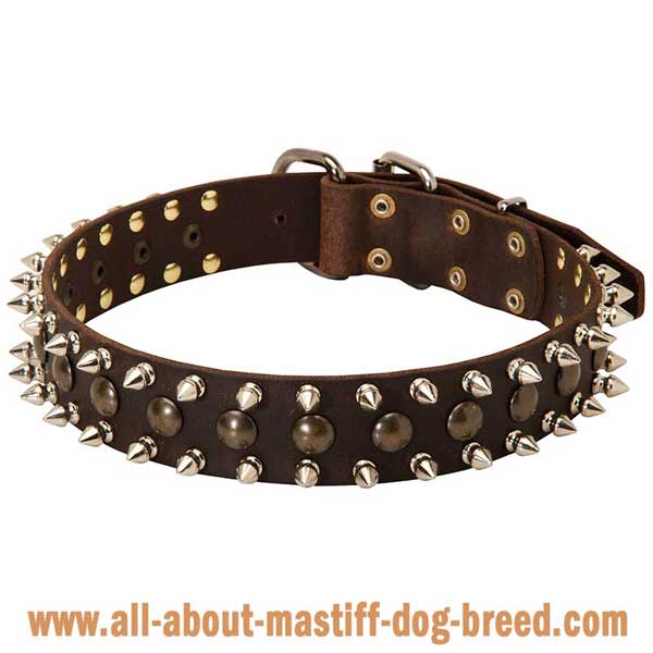 French Mastiff Dog Collar Made of Genuine Leather with  Riveted Fittings