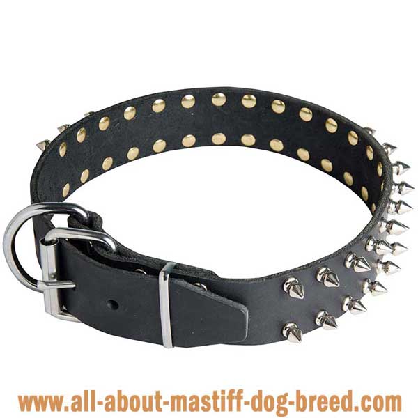 Hypoallergic Leather German Mastiff Collar Decorated with Spikes