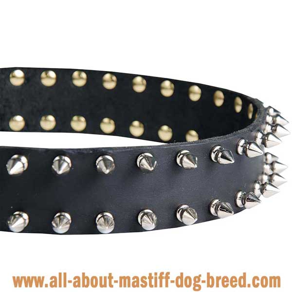 Riveted Leather Collar for German Mastiff