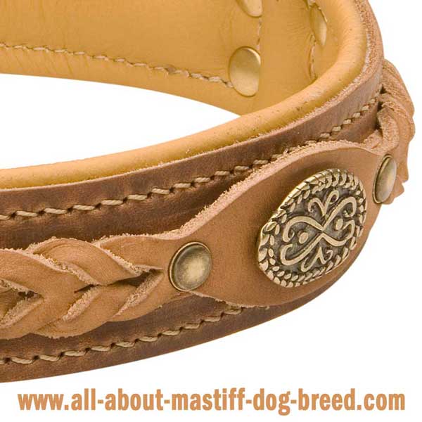 German Mastiff Dog Collar Hand Stitched with Riveted Braided Decoration