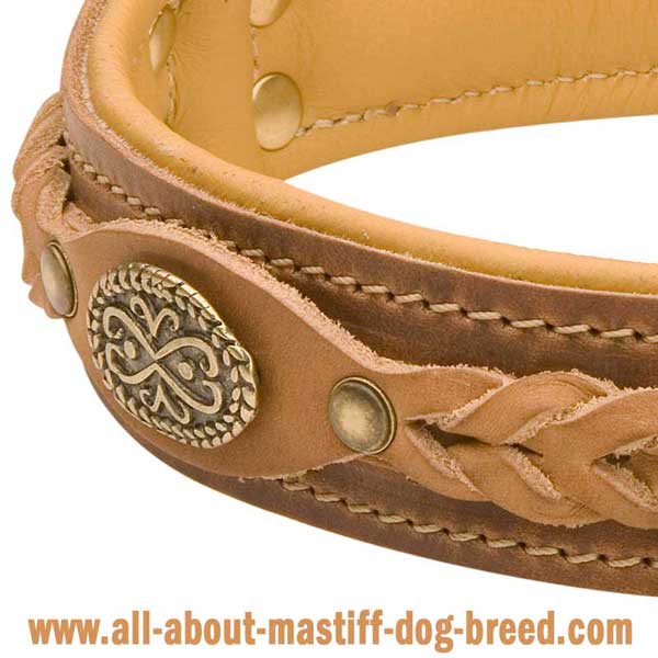 German Mastiff Dog Collar Made of Tan Genuine Leather  with Brass Medallions