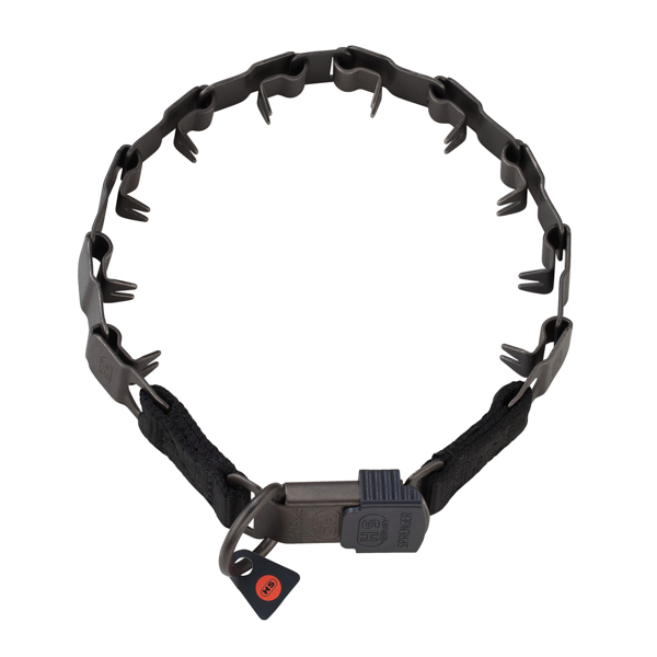 Neck tech pinch dog collar with secure buckle