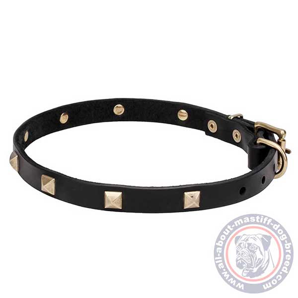 Leather dog collar with square studs