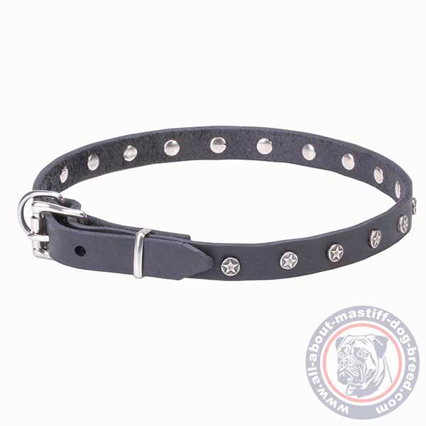 Walking leather dog collar