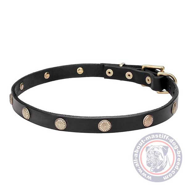 Tear-proof leather dog collar