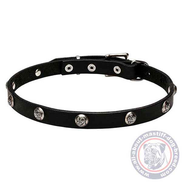 Studded leather dog collar