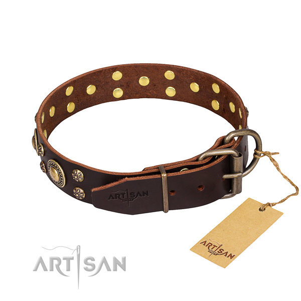 Wear-proof leather collar for your stunning four-legged friend