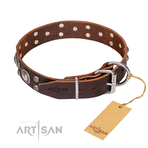 Full grain genuine leather dog collar with polished finish