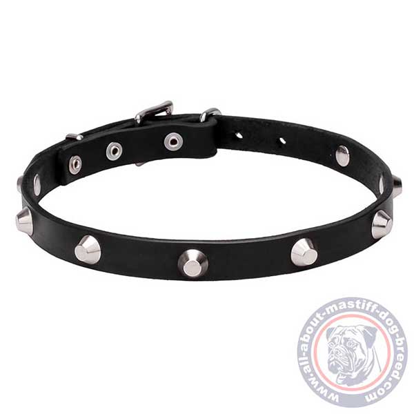 Leather dog collar with refined studs