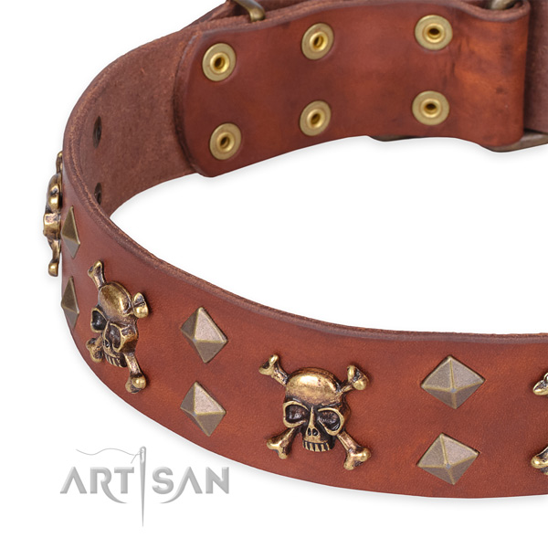 Casual style leather Mastiff collar with fancy studs