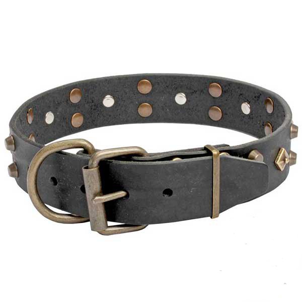 Sturdy black leather dog collar 