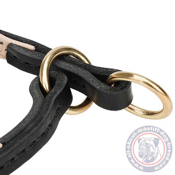 Leather dog collar with 2 O-rings