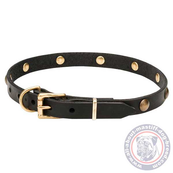 Leather dog collar with rust-resistant fittings