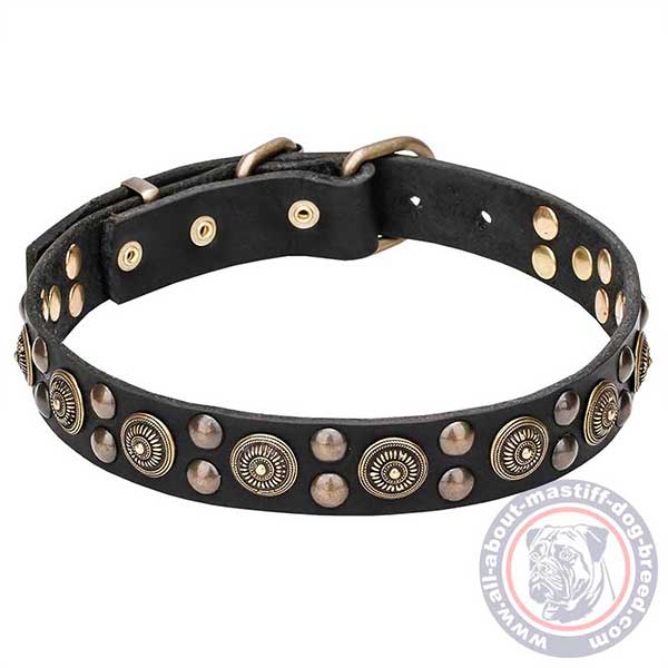 Studded leather dog collar