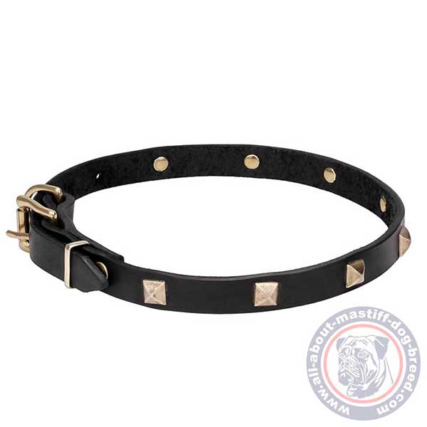 Leather dog collar for walking and training