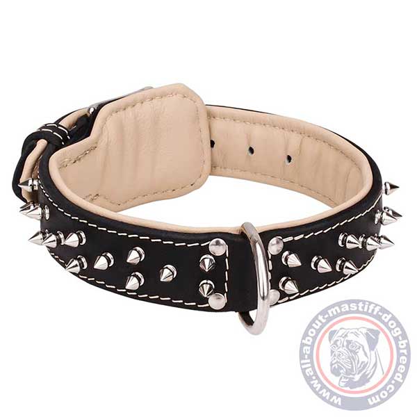 Comfy leather dog collar 