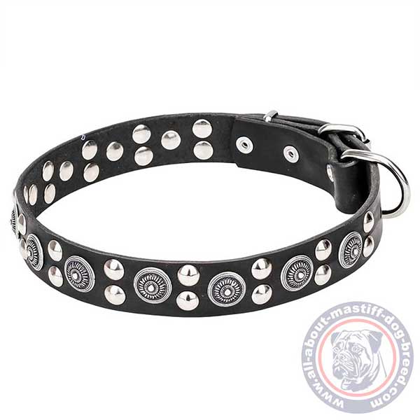 Studded leather dog collar