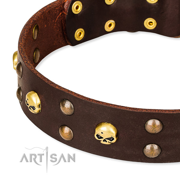 Leather dog collar with rounded edges for convenient everyday appliance