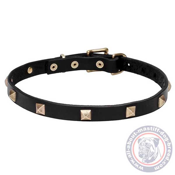 Leather dog collar with exquisite design