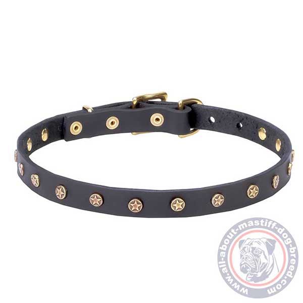 Decorated with stars leather dog collar