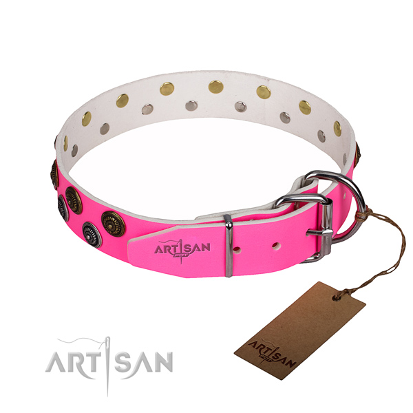 Durable leather collar for your stunning canine