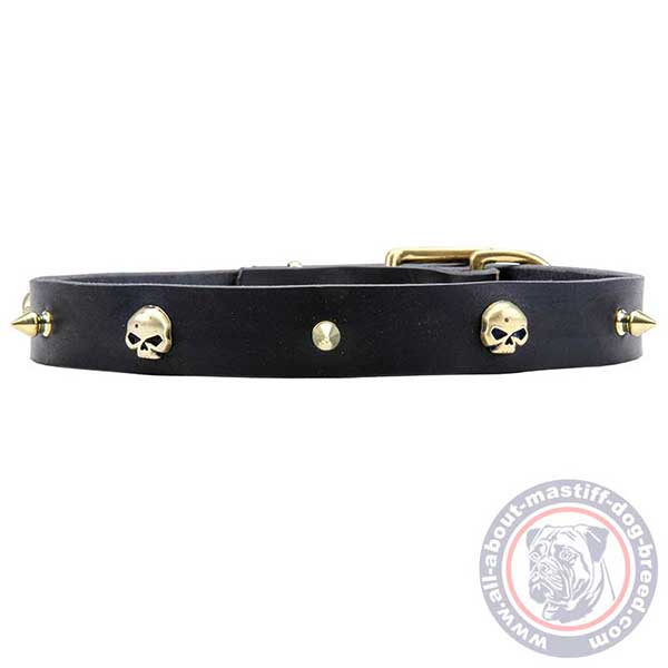 Trendy adorned leather dog collar