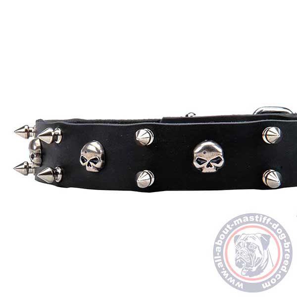 Designer leather dog collar