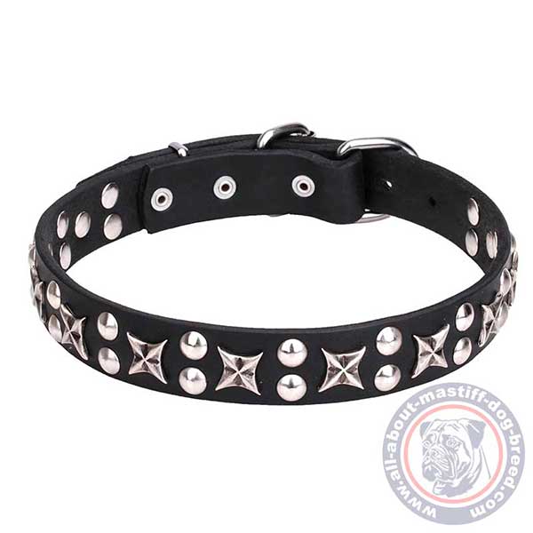 Studded leather dog collar