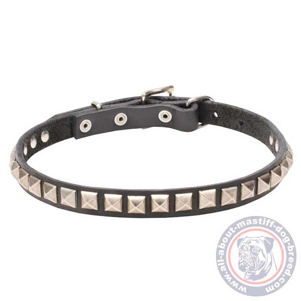 Studded leather dog collar